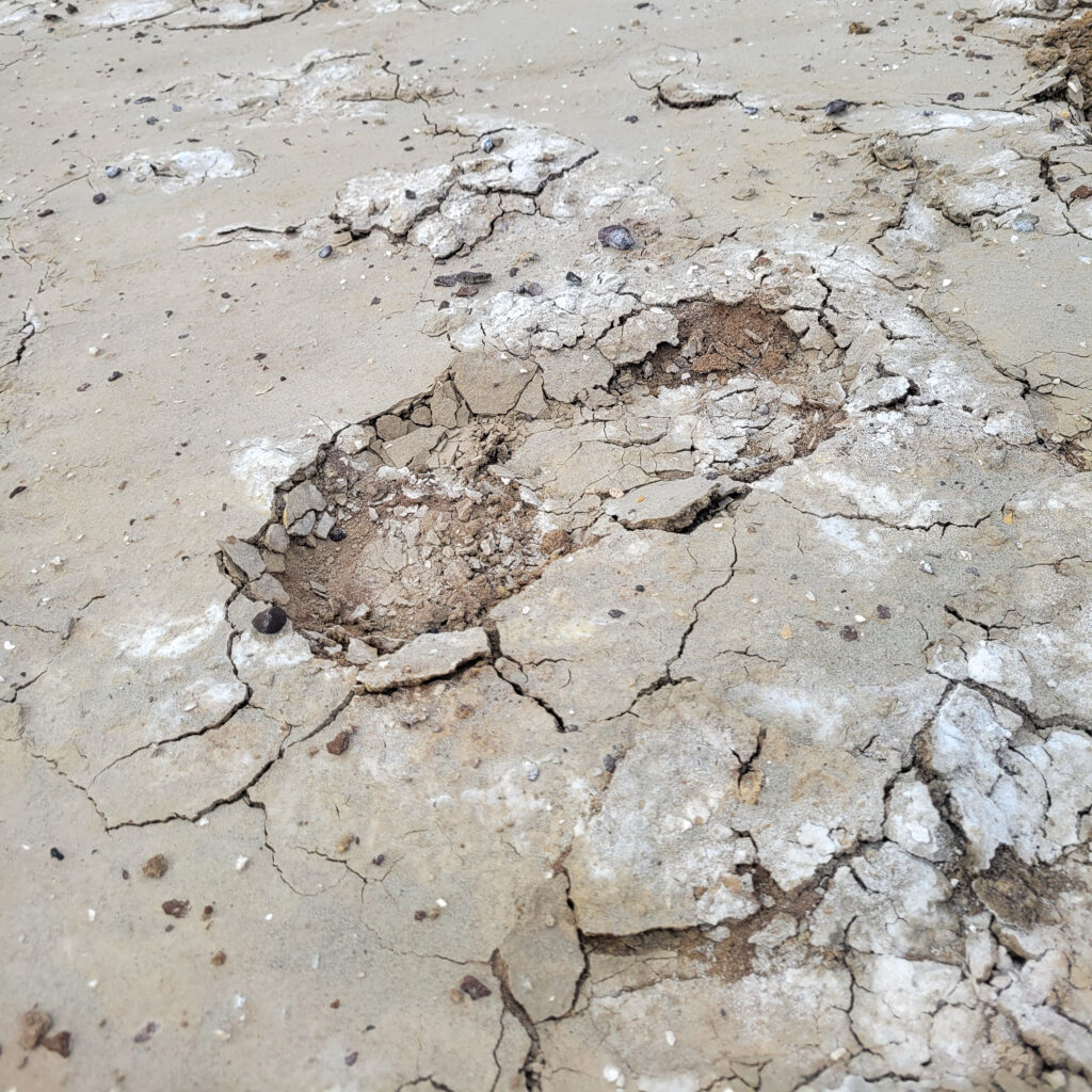 Footprint in the desert sand